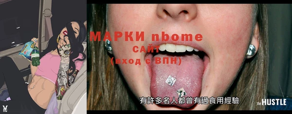 шишки Баксан