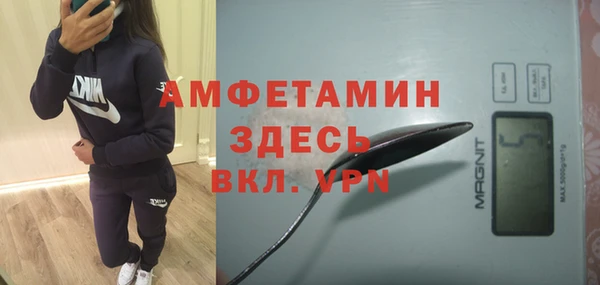 шишки Баксан