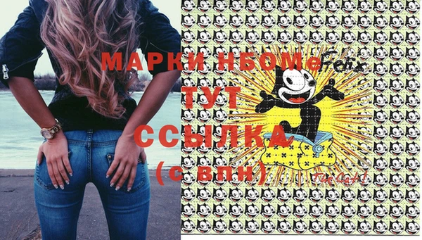 шишки Баксан