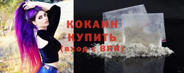 шишки Баксан