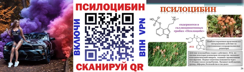 купить наркотик  Благодарный  KRAKEN ССЫЛКА  Псилоцибиновые грибы ЛСД 